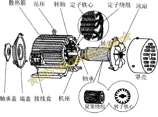 鼠笼式电动机原理